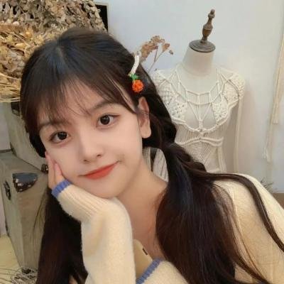 房子与狗